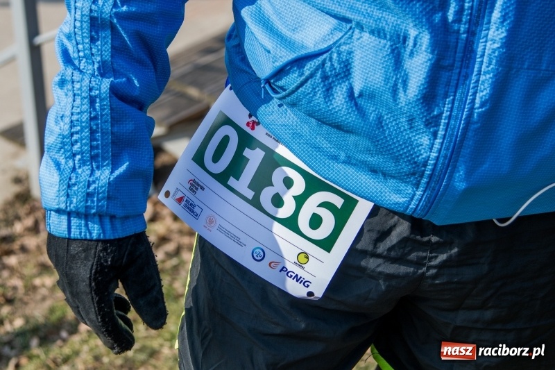 Zdjęcie w galerii na portalu naszraciborz.pl: Bieg wilczym tropem Racibórz 2018. FOTOREPORTAŻ  wiadomości z regionu