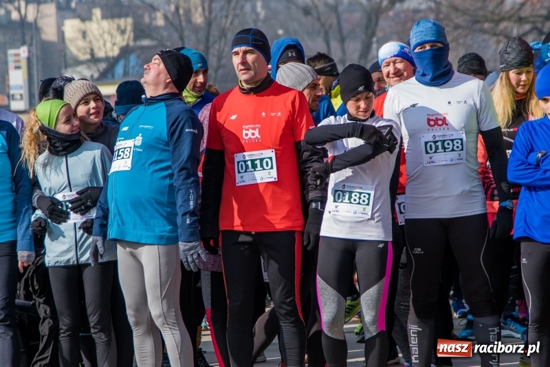Zdjęcie w galerii na portalu naszraciborz.pl: Bieg wilczym tropem Racibórz 2018. FOTOREPORTAŻ  wiadomości z regionu