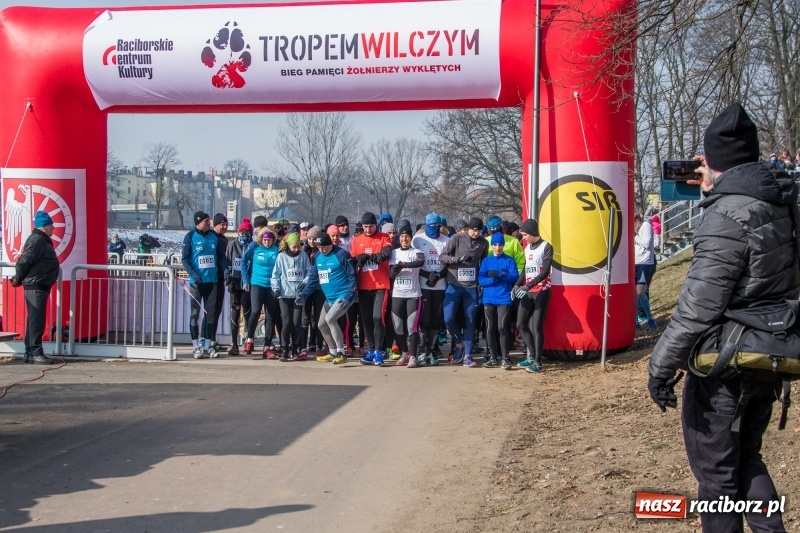 Zdjęcie w galerii na portalu naszraciborz.pl: Bieg wilczym tropem Racibórz 2018. FOTOREPORTAŻ  wiadomości z regionu