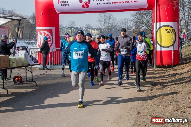 Zdjęcie w galerii na portalu naszraciborz.pl: Bieg wilczym tropem Racibórz 2018. FOTOREPORTAŻ  wiadomości z regionu