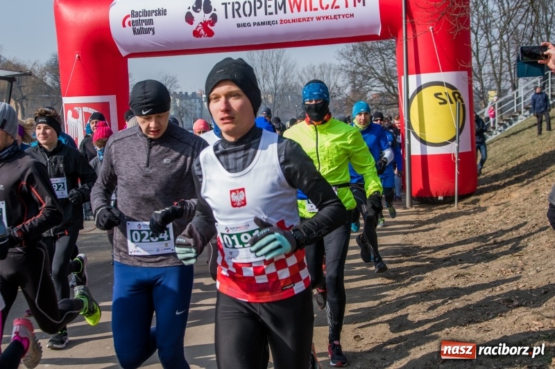 Zdjęcie w galerii na portalu naszraciborz.pl: Bieg wilczym tropem Racibórz 2018. FOTOREPORTAŻ  wiadomości z regionu