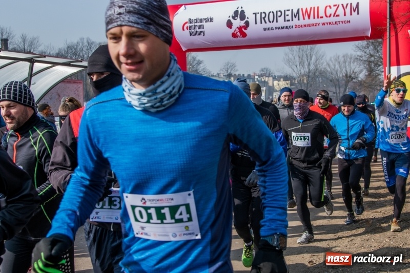 Zdjęcie w galerii na portalu naszraciborz.pl: Bieg wilczym tropem Racibórz 2018. FOTOREPORTAŻ  wiadomości z regionu