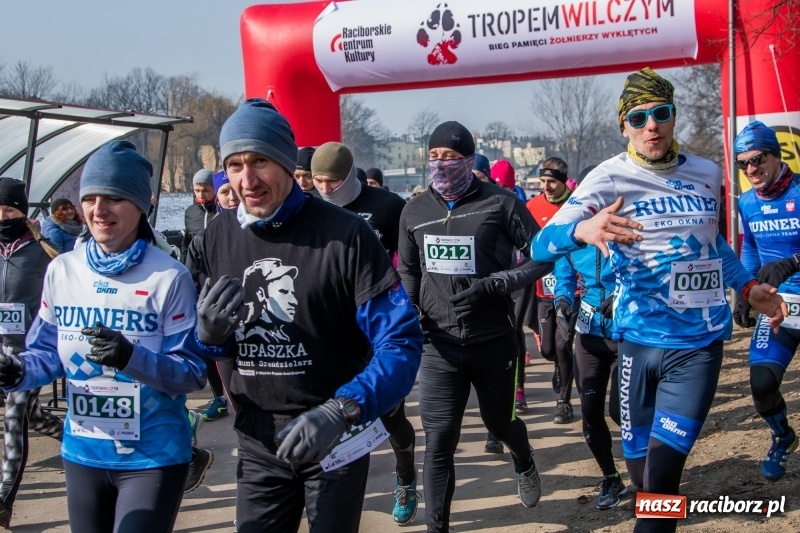 Zdjęcie w galerii na portalu naszraciborz.pl: Bieg wilczym tropem Racibórz 2018. FOTOREPORTAŻ  wiadomości z regionu