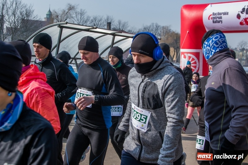 Zdjęcie w galerii na portalu naszraciborz.pl: Bieg wilczym tropem Racibórz 2018. FOTOREPORTAŻ  wiadomości z regionu