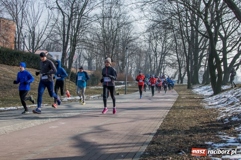 Zdjęcie w galerii na portalu naszraciborz.pl: Bieg wilczym tropem Racibórz 2018. FOTOREPORTAŻ  wiadomości z regionu