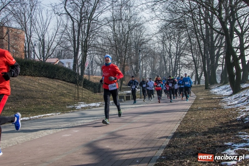 Zdjęcie w galerii na portalu naszraciborz.pl: Bieg wilczym tropem Racibórz 2018. FOTOREPORTAŻ  wiadomości z regionu