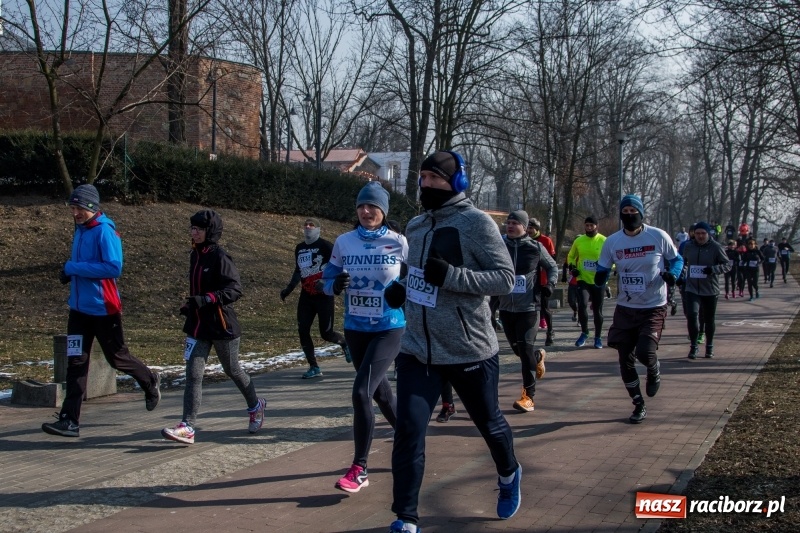 Zdjęcie w galerii na portalu naszraciborz.pl: Bieg wilczym tropem Racibórz 2018. FOTOREPORTAŻ  wiadomości z regionu