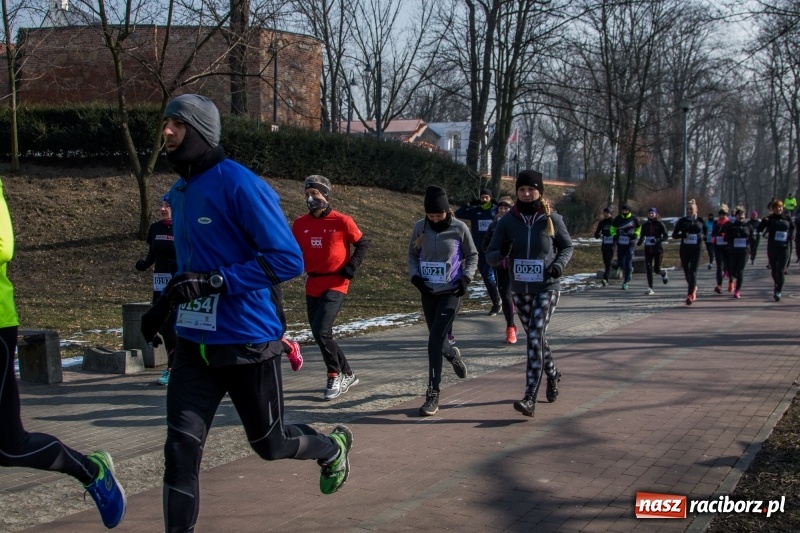 Zdjęcie w galerii na portalu naszraciborz.pl: Bieg wilczym tropem Racibórz 2018. FOTOREPORTAŻ  wiadomości z regionu