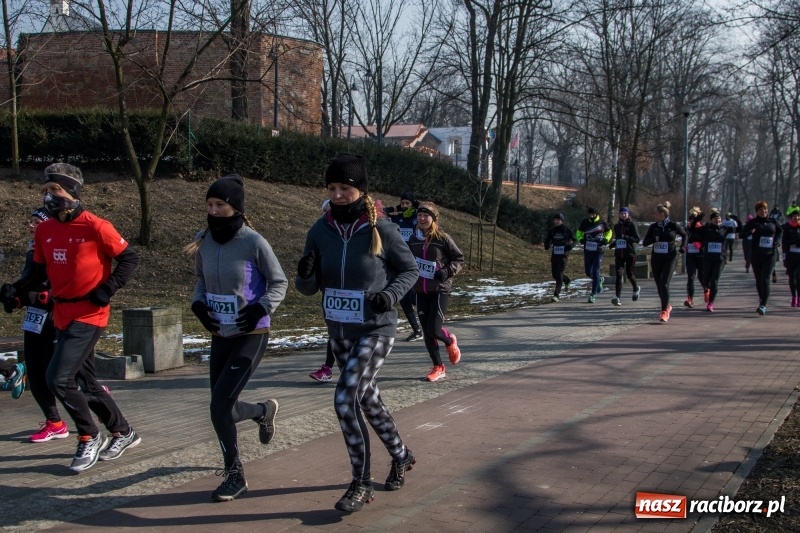 Zdjęcie w galerii na portalu naszraciborz.pl: Bieg wilczym tropem Racibórz 2018. FOTOREPORTAŻ  wiadomości z regionu