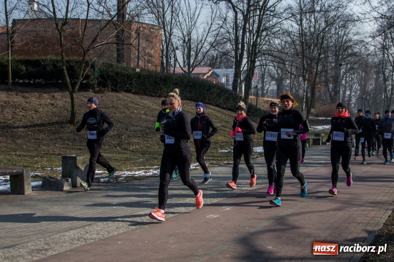 Zdjęcie w galerii na portalu naszraciborz.pl: Bieg wilczym tropem Racibórz 2018. FOTOREPORTAŻ  wiadomości z regionu