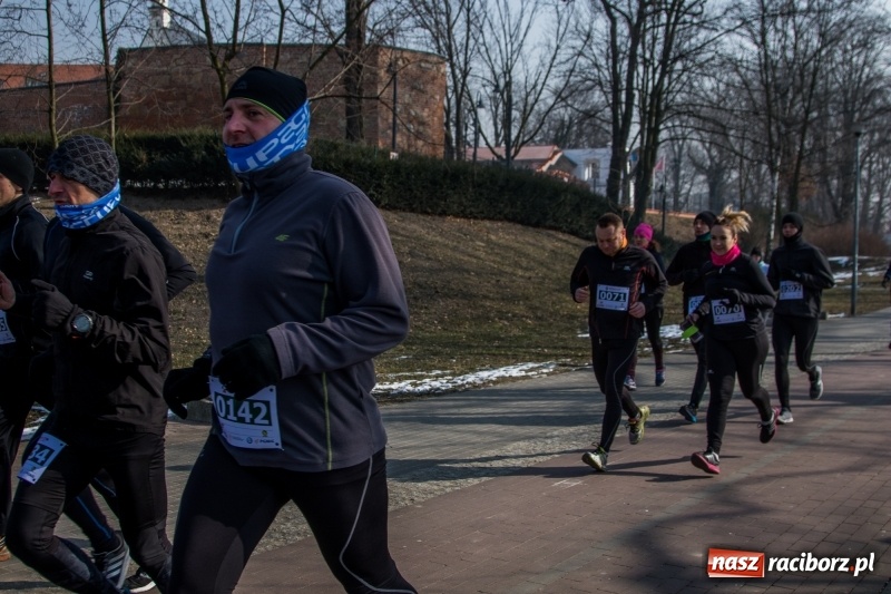 Zdjęcie w galerii na portalu naszraciborz.pl: Bieg wilczym tropem Racibórz 2018. FOTOREPORTAŻ  wiadomości z regionu