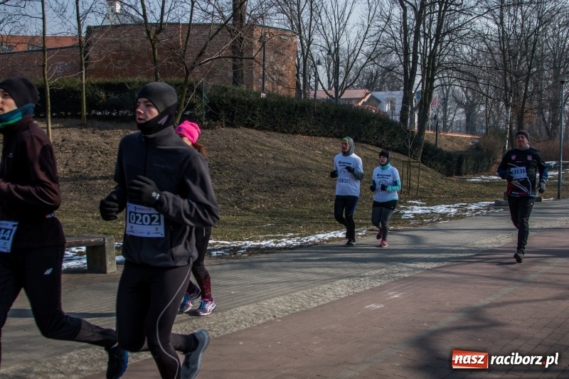Zdjęcie w galerii na portalu naszraciborz.pl: Bieg wilczym tropem Racibórz 2018. FOTOREPORTAŻ  wiadomości z regionu