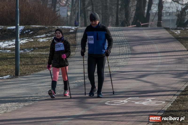 Zdjęcie w galerii na portalu naszraciborz.pl: Bieg wilczym tropem Racibórz 2018. FOTOREPORTAŻ  wiadomości z regionu