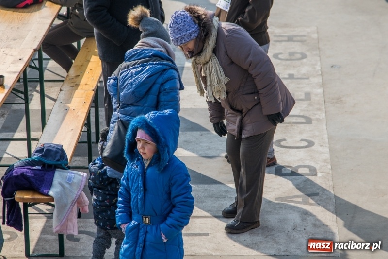 Zdjęcie w galerii na portalu naszraciborz.pl: Bieg wilczym tropem Racibórz 2018. FOTOREPORTAŻ  wiadomości z regionu