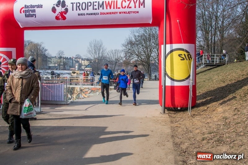 Zdjęcie w galerii na portalu naszraciborz.pl: Bieg wilczym tropem Racibórz 2018. FOTOREPORTAŻ  wiadomości z regionu