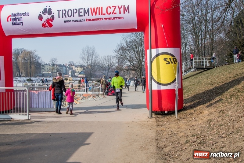 Zdjęcie w galerii na portalu naszraciborz.pl: Bieg wilczym tropem Racibórz 2018. FOTOREPORTAŻ  wiadomości z regionu