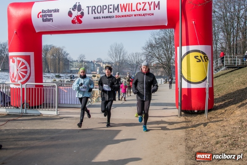 Zdjęcie w galerii na portalu naszraciborz.pl: Bieg wilczym tropem Racibórz 2018. FOTOREPORTAŻ  wiadomości z regionu