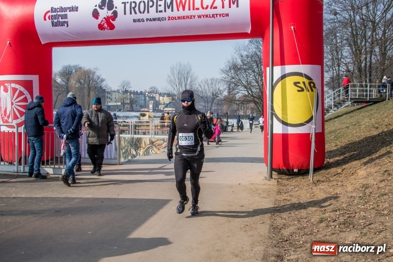 Zdjęcie w galerii na portalu naszraciborz.pl: Bieg wilczym tropem Racibórz 2018. FOTOREPORTAŻ  wiadomości z regionu