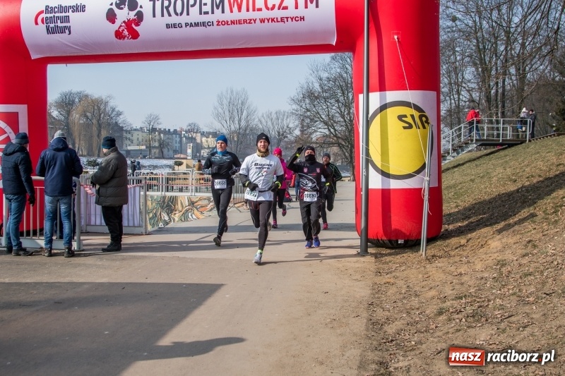 Zdjęcie w galerii na portalu naszraciborz.pl: Bieg wilczym tropem Racibórz 2018. FOTOREPORTAŻ  wiadomości z regionu