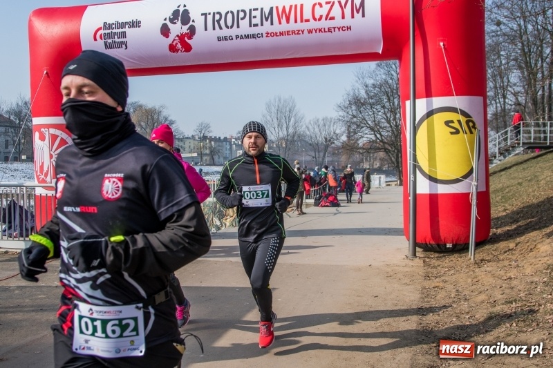 Zdjęcie w galerii na portalu naszraciborz.pl: Bieg wilczym tropem Racibórz 2018. FOTOREPORTAŻ  wiadomości z regionu