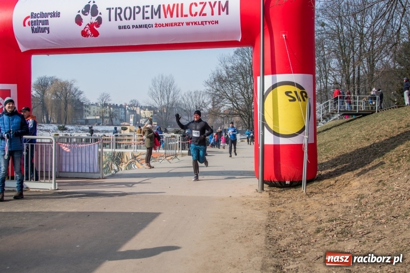 Zdjęcie w galerii na portalu naszraciborz.pl: Bieg wilczym tropem Racibórz 2018. FOTOREPORTAŻ  wiadomości z regionu
