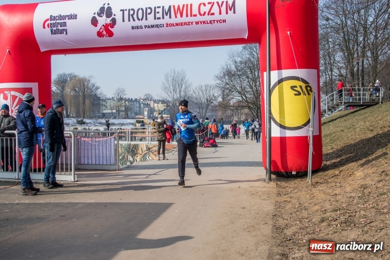 Zdjęcie w galerii na portalu naszraciborz.pl: Bieg wilczym tropem Racibórz 2018. FOTOREPORTAŻ  wiadomości z regionu