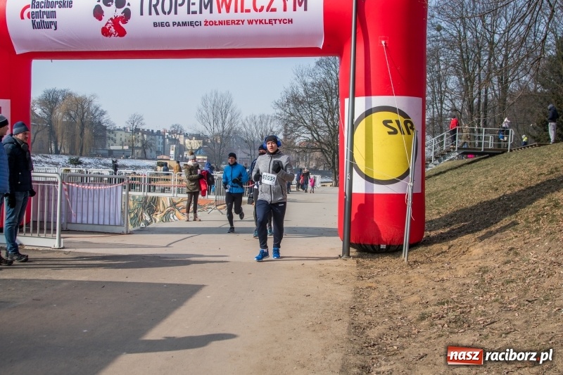 Zdjęcie w galerii na portalu naszraciborz.pl: Bieg wilczym tropem Racibórz 2018. FOTOREPORTAŻ  wiadomości z regionu