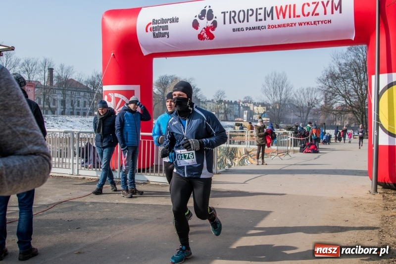 Zdjęcie w galerii na portalu naszraciborz.pl: Bieg wilczym tropem Racibórz 2018. FOTOREPORTAŻ  wiadomości z regionu