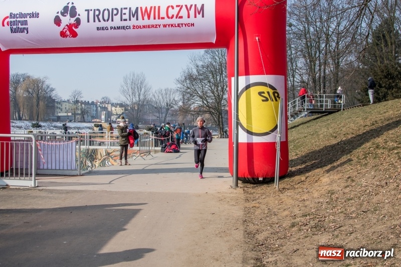 Zdjęcie w galerii na portalu naszraciborz.pl: Bieg wilczym tropem Racibórz 2018. FOTOREPORTAŻ  wiadomości z regionu