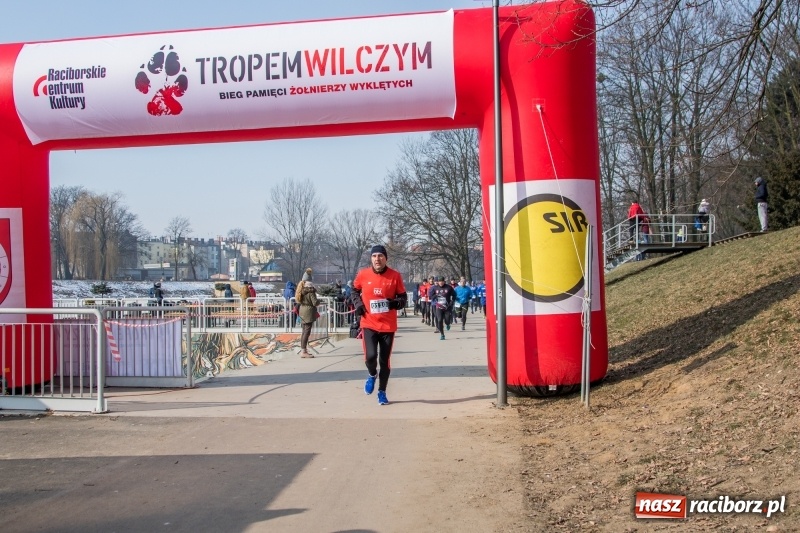 Zdjęcie w galerii na portalu naszraciborz.pl: Bieg wilczym tropem Racibórz 2018. FOTOREPORTAŻ  wiadomości z regionu