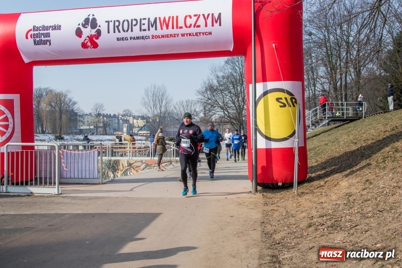 Zdjęcie w galerii na portalu naszraciborz.pl: Bieg wilczym tropem Racibórz 2018. FOTOREPORTAŻ  wiadomości z regionu