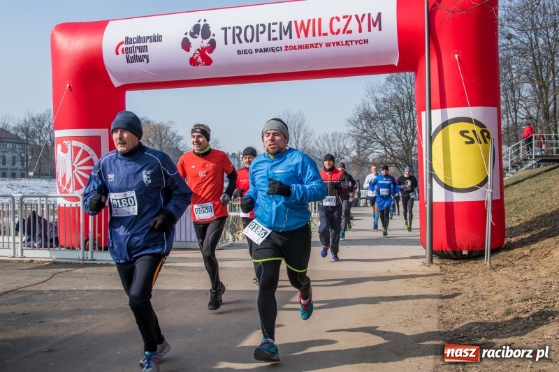 Zdjęcie w galerii na portalu naszraciborz.pl: Bieg wilczym tropem Racibórz 2018. FOTOREPORTAŻ  wiadomości z regionu