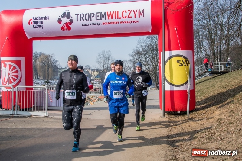 Zdjęcie w galerii na portalu naszraciborz.pl: Bieg wilczym tropem Racibórz 2018. FOTOREPORTAŻ  wiadomości z regionu