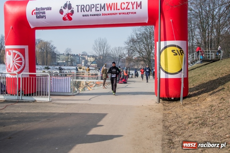 Zdjęcie w galerii na portalu naszraciborz.pl: Bieg wilczym tropem Racibórz 2018. FOTOREPORTAŻ  wiadomości z regionu