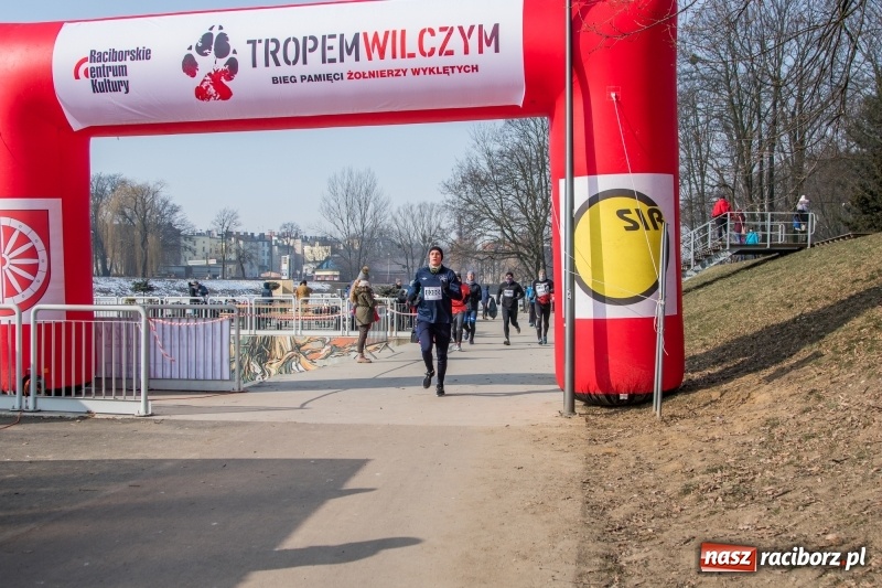 Zdjęcie w galerii na portalu naszraciborz.pl: Bieg wilczym tropem Racibórz 2018. FOTOREPORTAŻ  wiadomości z regionu