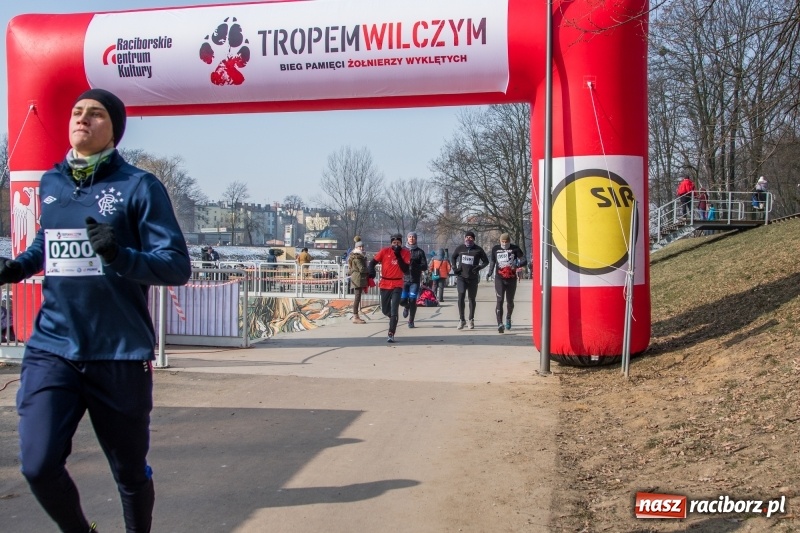 Zdjęcie w galerii na portalu naszraciborz.pl: Bieg wilczym tropem Racibórz 2018. FOTOREPORTAŻ  wiadomości z regionu