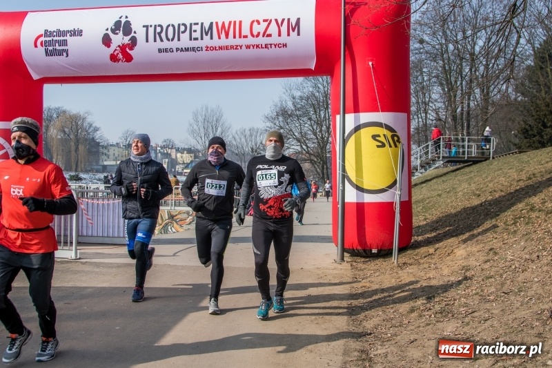 Zdjęcie w galerii na portalu naszraciborz.pl: Bieg wilczym tropem Racibórz 2018. FOTOREPORTAŻ  wiadomości z regionu