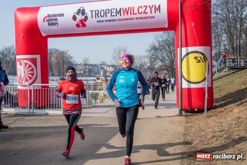 Zdjęcie w galerii na portalu naszraciborz.pl: Bieg wilczym tropem Racibórz 2018. FOTOREPORTAŻ  wiadomości z regionu