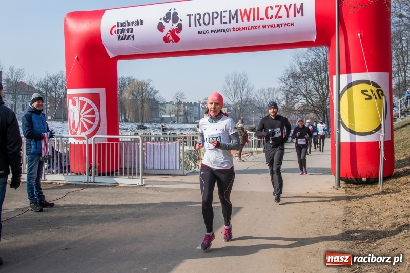 Zdjęcie w galerii na portalu naszraciborz.pl: Bieg wilczym tropem Racibórz 2018. FOTOREPORTAŻ  wiadomości z regionu