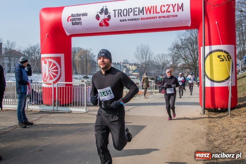 Zdjęcie w galerii na portalu naszraciborz.pl: Bieg wilczym tropem Racibórz 2018. FOTOREPORTAŻ  wiadomości z regionu