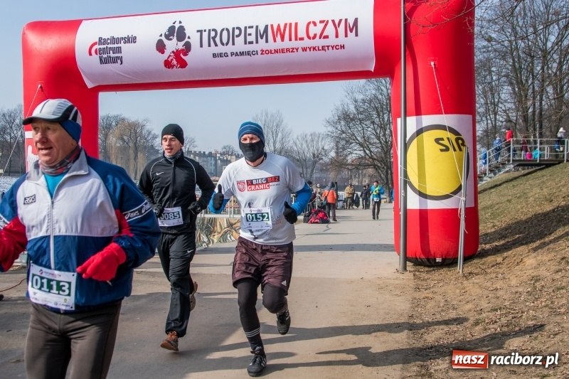 Zdjęcie w galerii na portalu naszraciborz.pl: Bieg wilczym tropem Racibórz 2018. FOTOREPORTAŻ  wiadomości z regionu