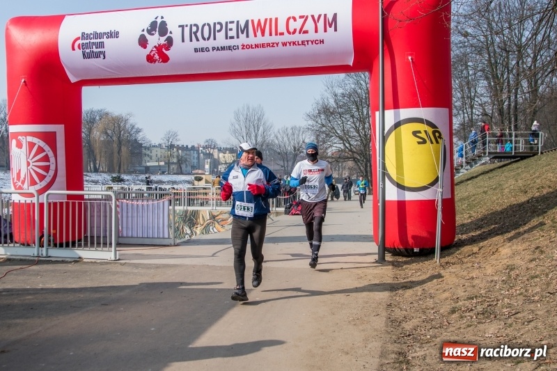 Zdjęcie w galerii na portalu naszraciborz.pl: Bieg wilczym tropem Racibórz 2018. FOTOREPORTAŻ  wiadomości z regionu