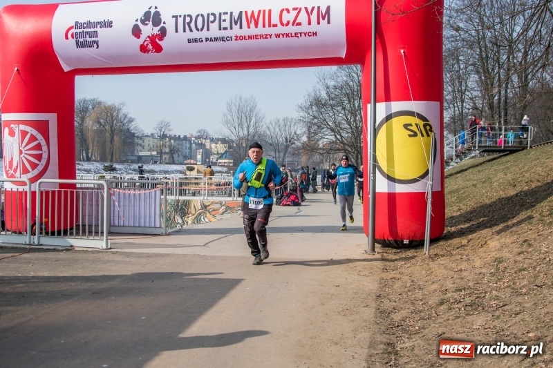 Zdjęcie w galerii na portalu naszraciborz.pl: Bieg wilczym tropem Racibórz 2018. FOTOREPORTAŻ  wiadomości z regionu