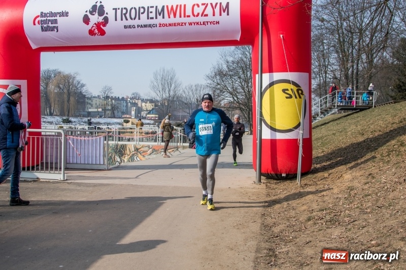 Zdjęcie w galerii na portalu naszraciborz.pl: Bieg wilczym tropem Racibórz 2018. FOTOREPORTAŻ  wiadomości z regionu