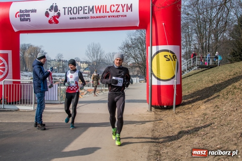 Zdjęcie w galerii na portalu naszraciborz.pl: Bieg wilczym tropem Racibórz 2018. FOTOREPORTAŻ  wiadomości z regionu