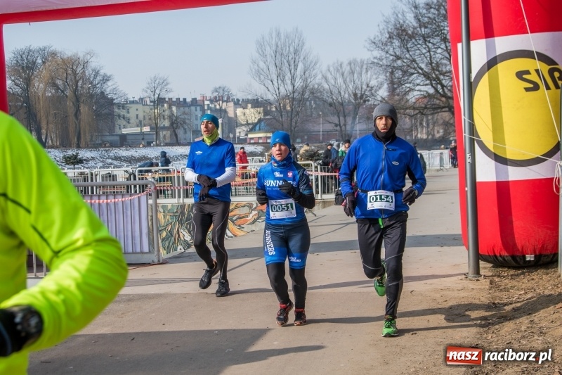 Zdjęcie w galerii na portalu naszraciborz.pl: Bieg wilczym tropem Racibórz 2018. FOTOREPORTAŻ  wiadomości z regionu