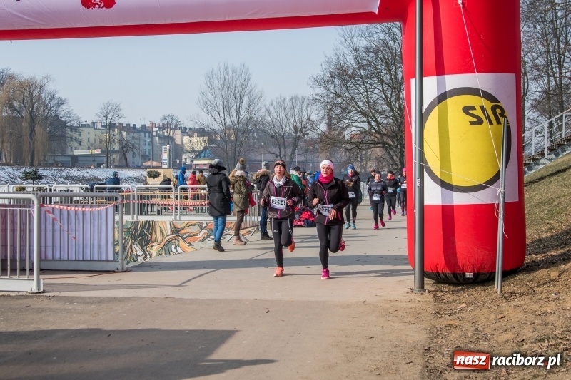Zdjęcie w galerii na portalu naszraciborz.pl: Bieg wilczym tropem Racibórz 2018. FOTOREPORTAŻ  wiadomości z regionu