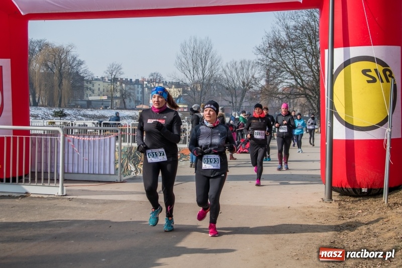 Zdjęcie w galerii na portalu naszraciborz.pl: Bieg wilczym tropem Racibórz 2018. FOTOREPORTAŻ  wiadomości z regionu