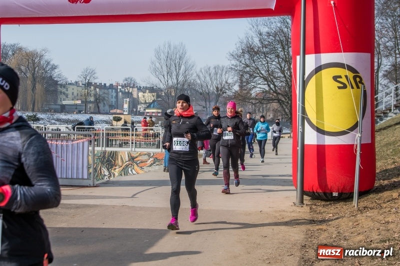 Zdjęcie w galerii na portalu naszraciborz.pl: Bieg wilczym tropem Racibórz 2018. FOTOREPORTAŻ  wiadomości z regionu