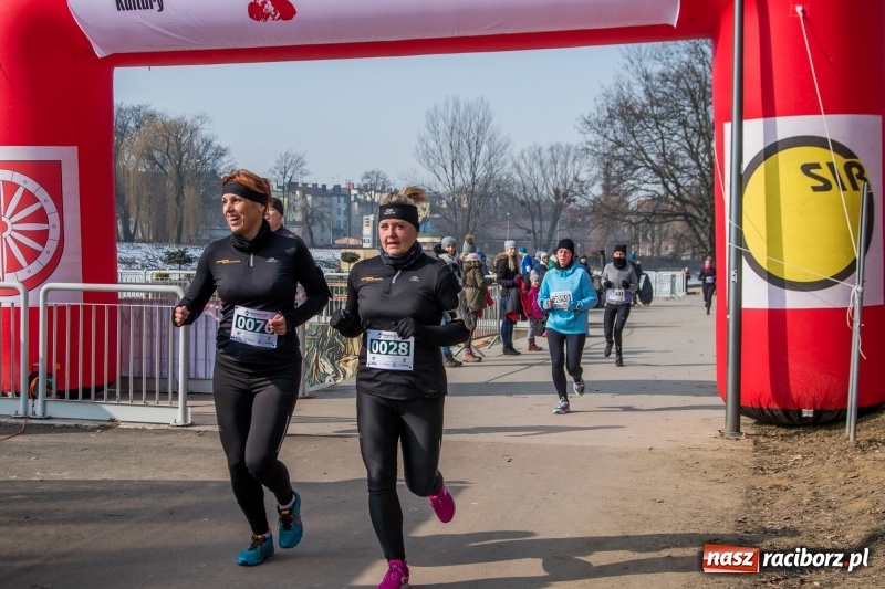 Zdjęcie w galerii na portalu naszraciborz.pl: Bieg wilczym tropem Racibórz 2018. FOTOREPORTAŻ  wiadomości z regionu